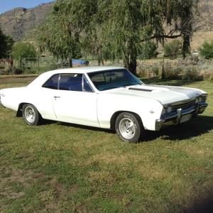 Meet your Posher, Trudy